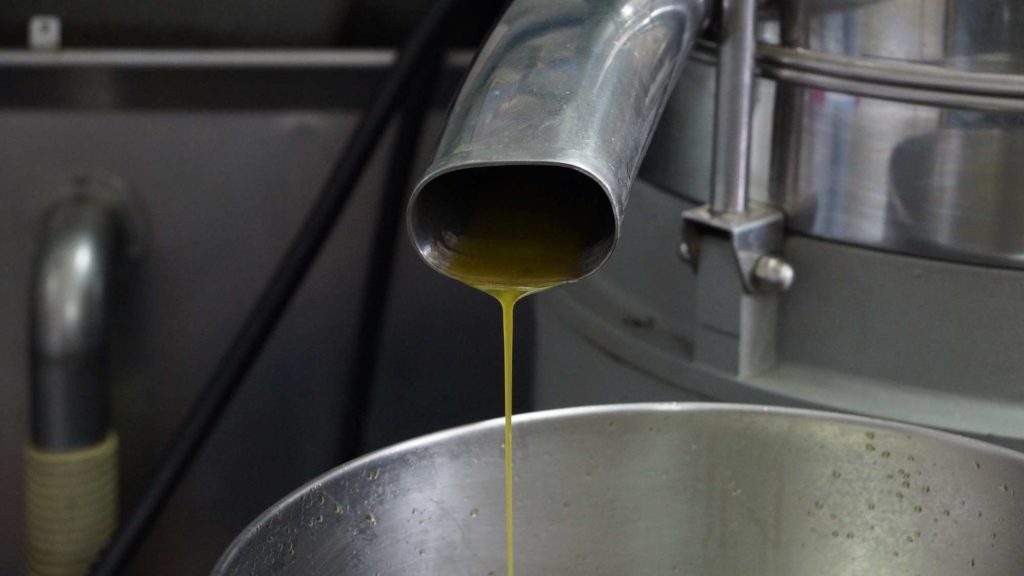 L'huile d'olive De Provence extra vierge juste à la sortie du pressoir.